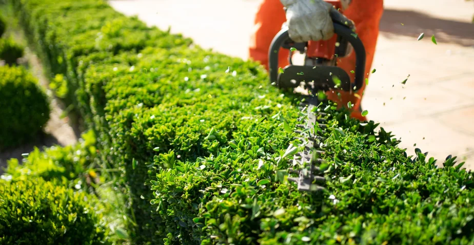 Elevate Your Outdoors with Professional Landscaping in the Chicago North Shore