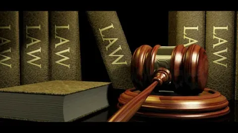Criminal Defense Lawyer Wayne County | Not Guilty Law